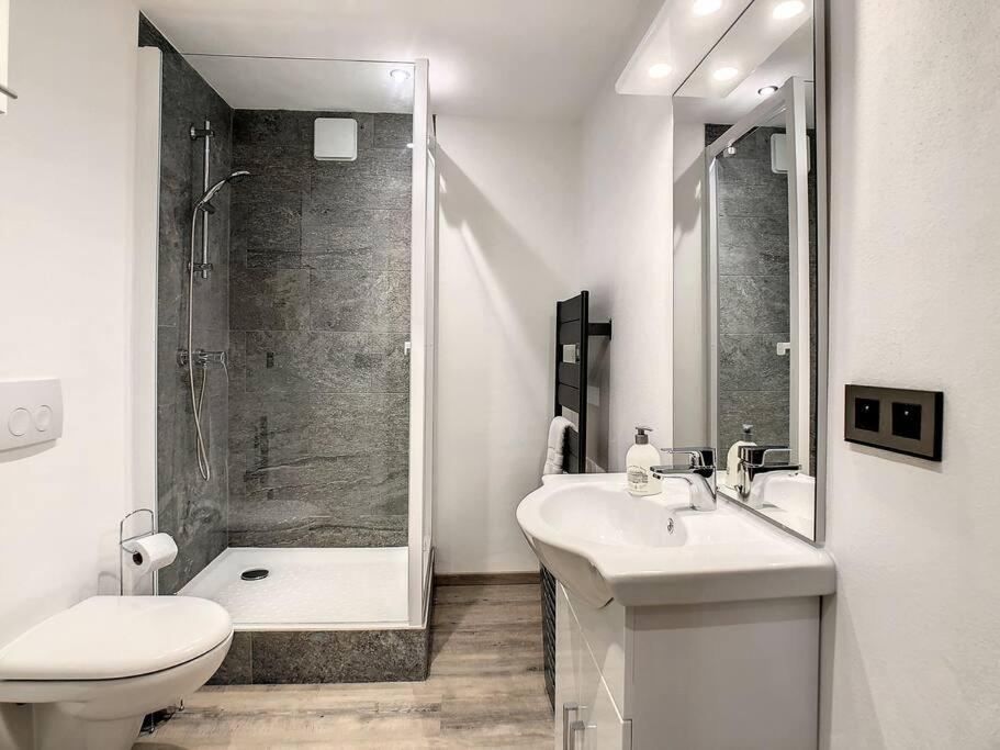 Mont Alt, F2 40M2 En Rdc, Calme, Vue Mt Blanc Apartment Passy  Bagian luar foto